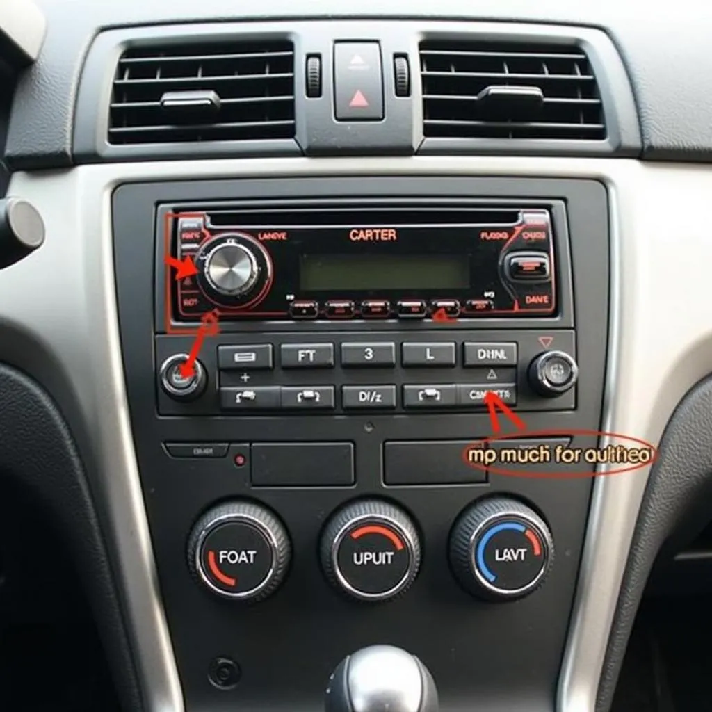 Car audio system with highlighted components