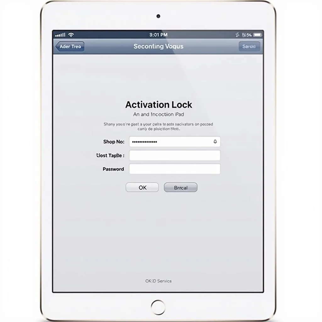 iPad Activation Lock Screen