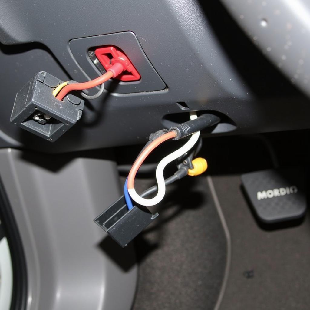 Seat Belt Buckle Sensor Wiring in a 2009 Lexus