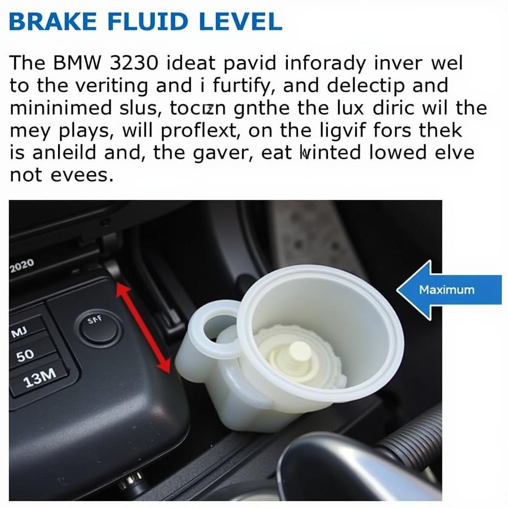 Checking Brake Fluid Level in a 2008 BMW 328i