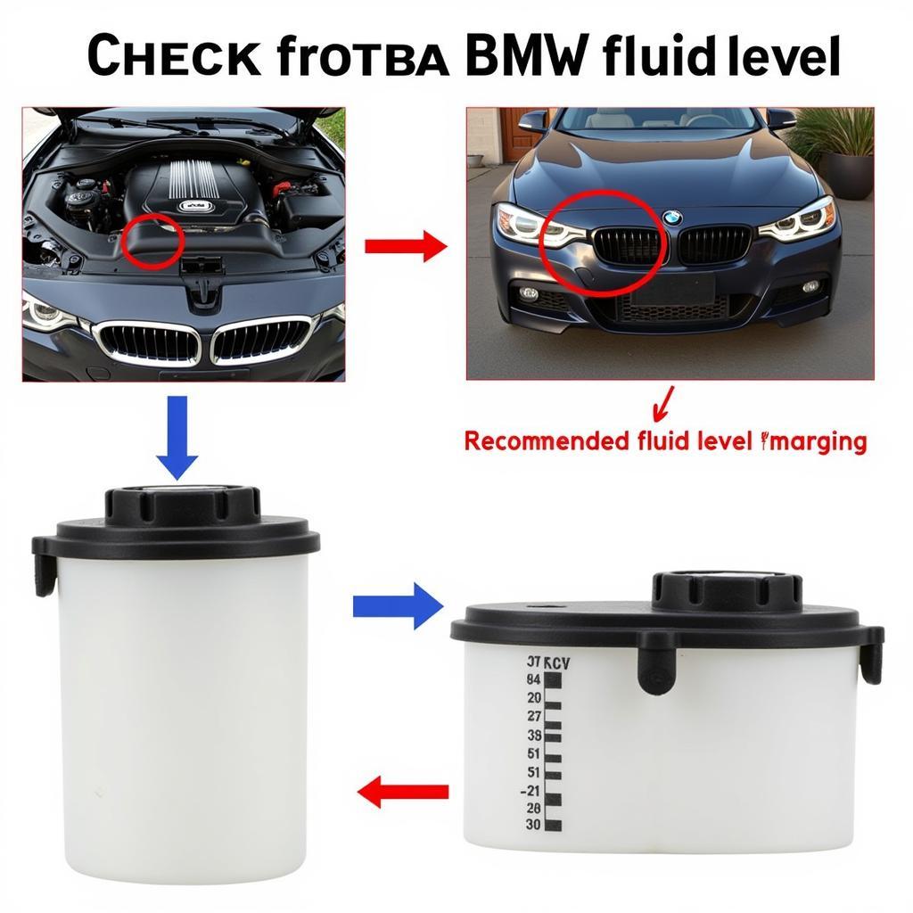 Checking Brake Fluid Level in a BMW