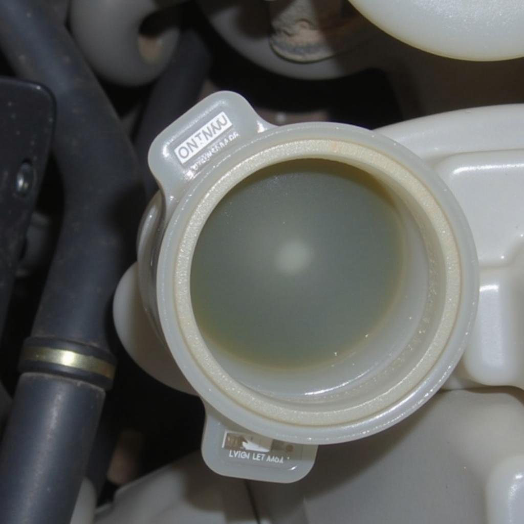 Low Brake Fluid Reservoir