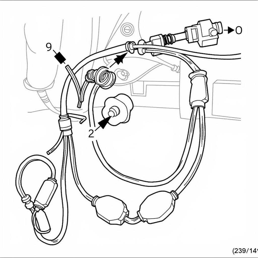 Automotive wiring harness for brake lights