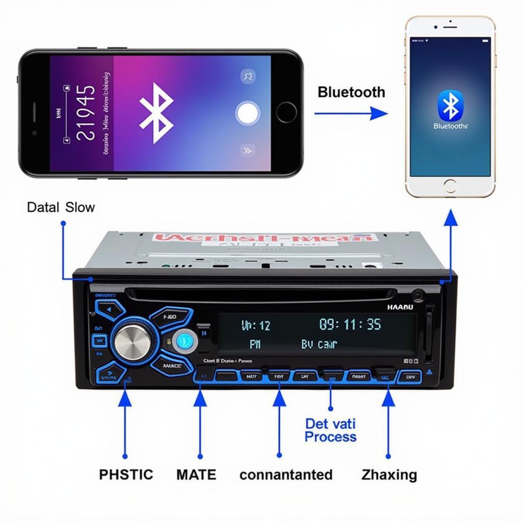 Bluetooth XM Car Radio Connection Diagram