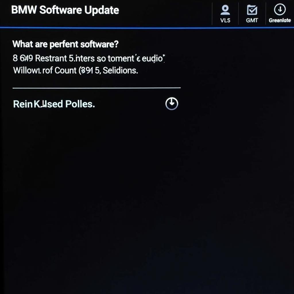 BMW 320i E90 Software Update