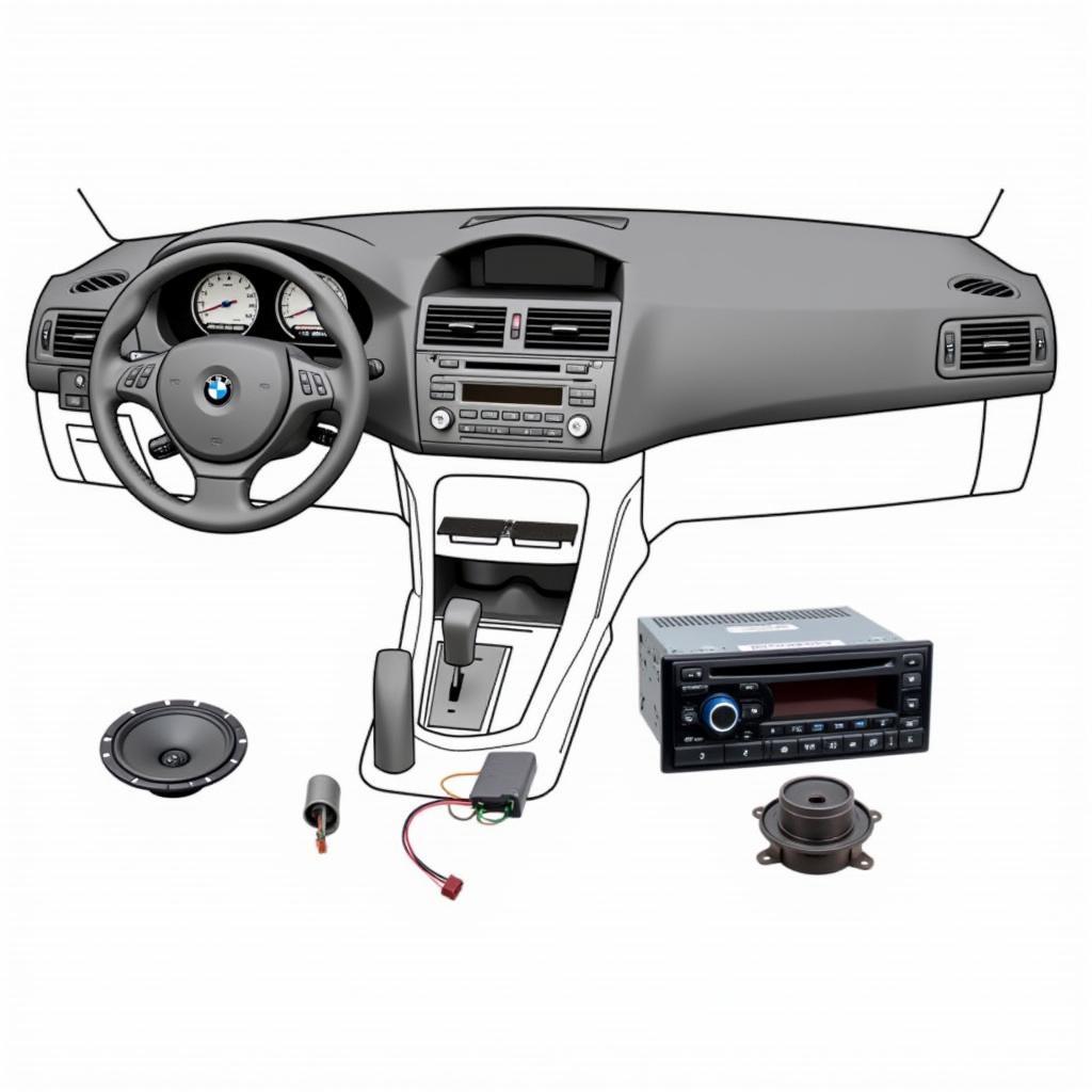 BMW E46 Factory Audio System Components