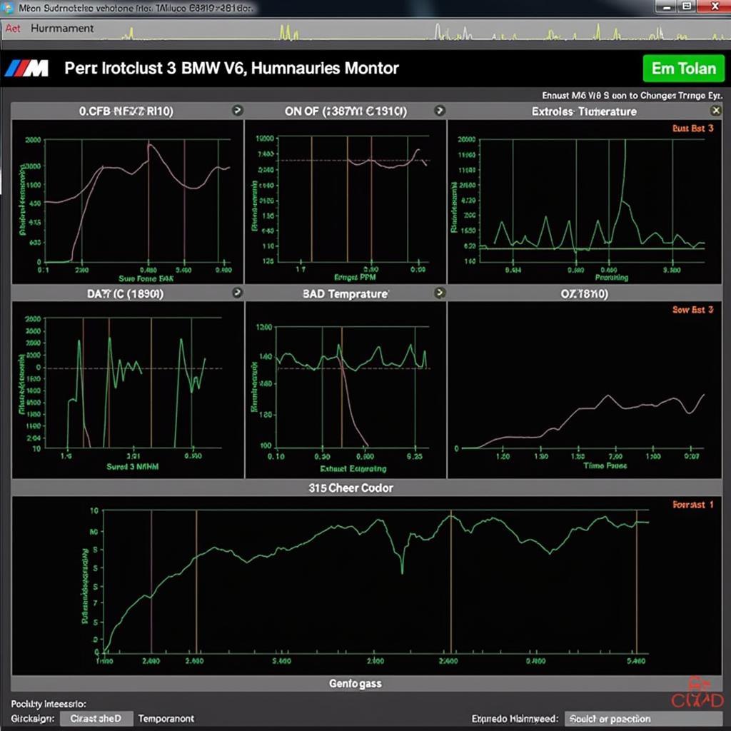 BMW M6 V10 Diagnostic Software Interface