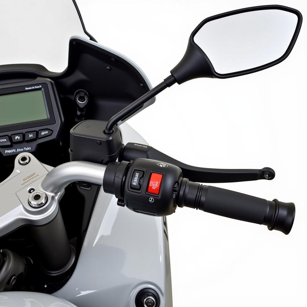 BMW R1200 Audio System Controls