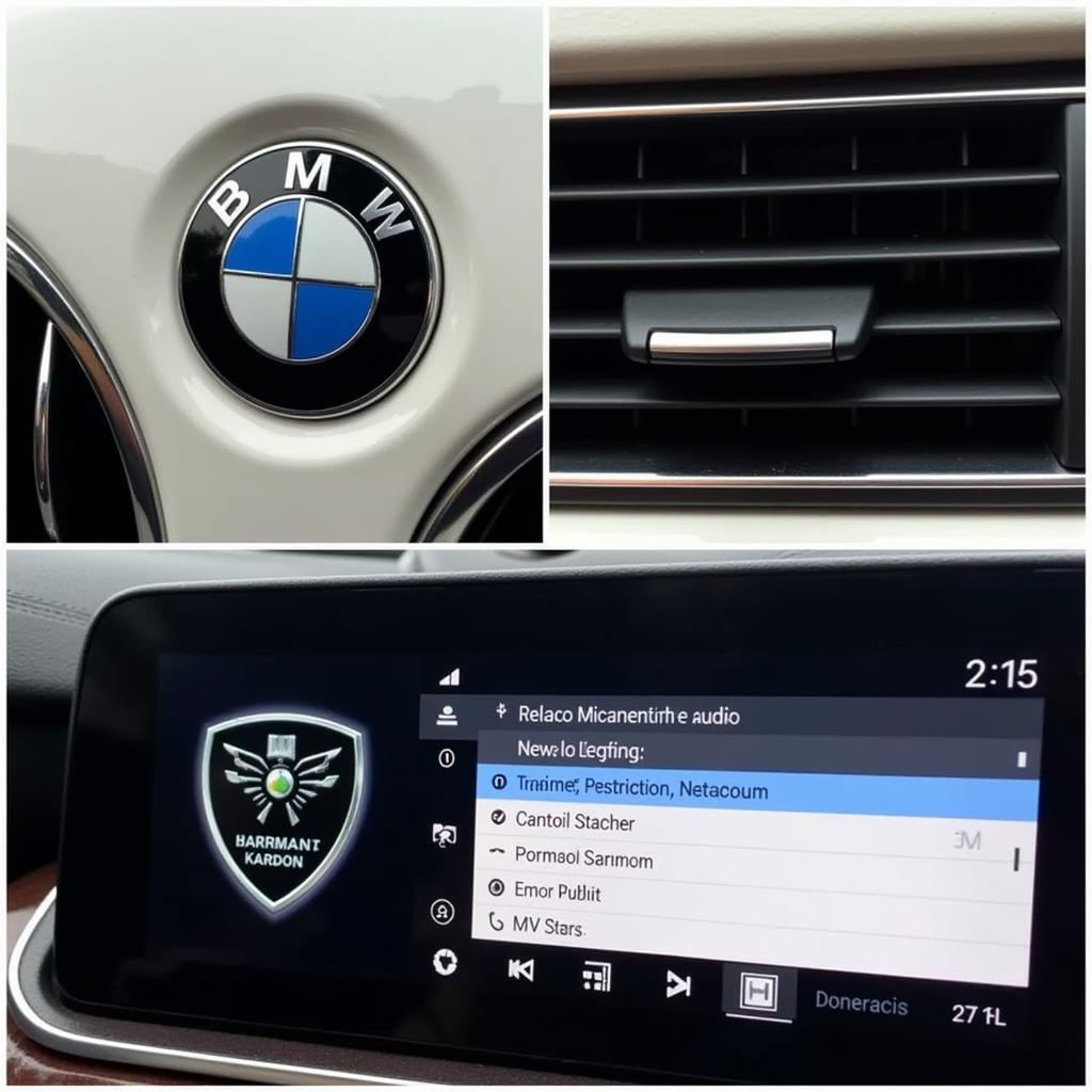 Identifying Your BMW Sound System