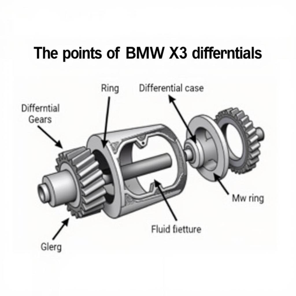 BMW X3 Differential Components Diagram