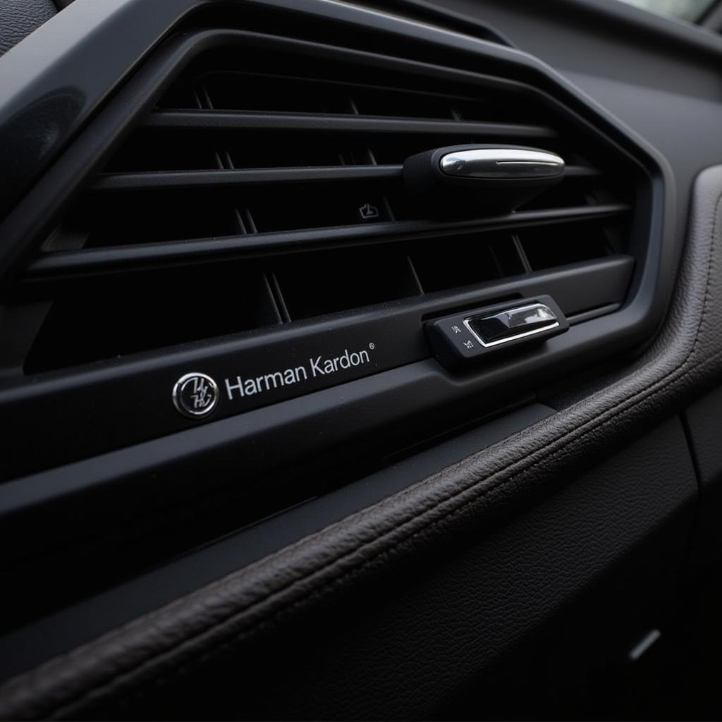 BMW X3 G01 Harman Kardon Audio System