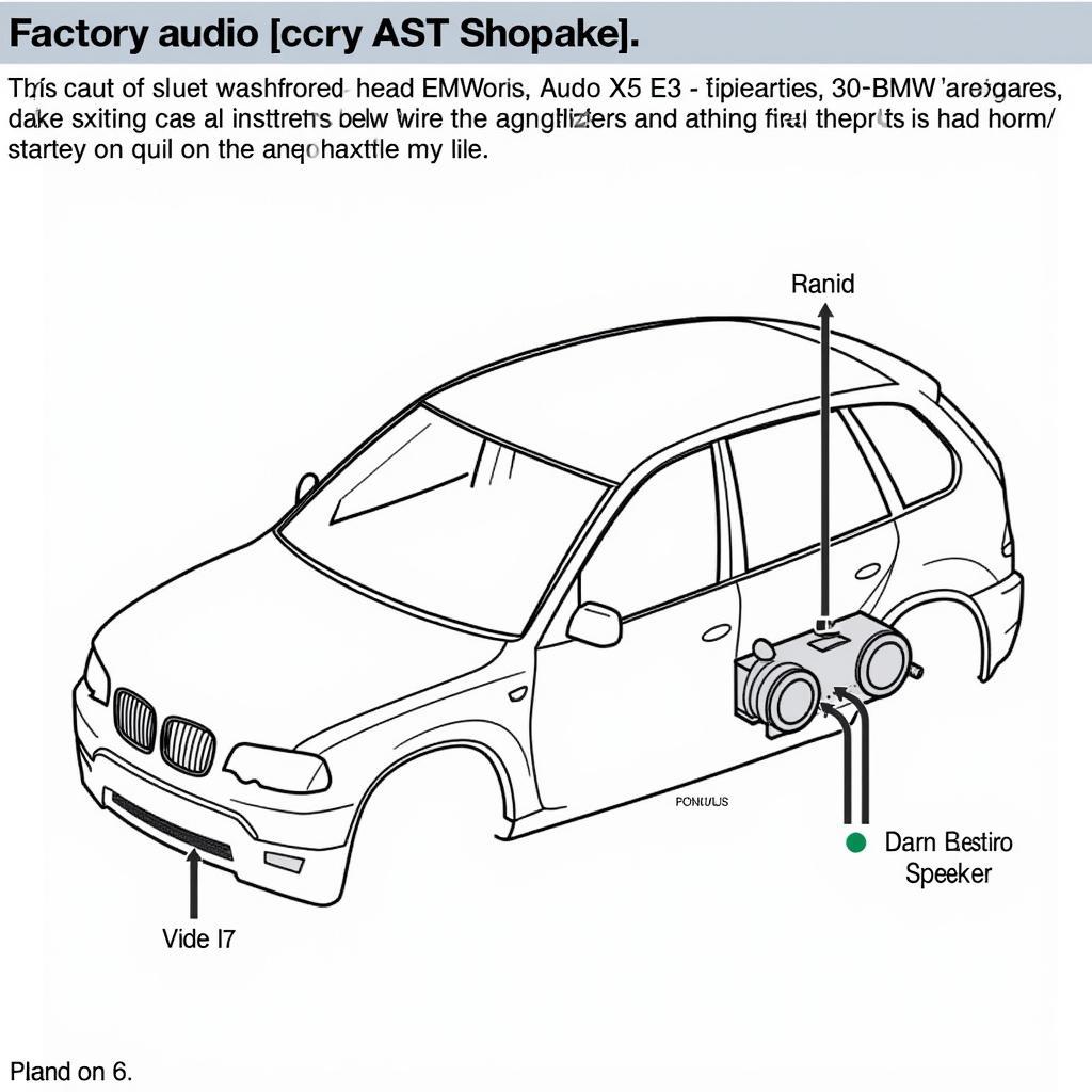 BMW X5 E53 Factory Audio System Overview