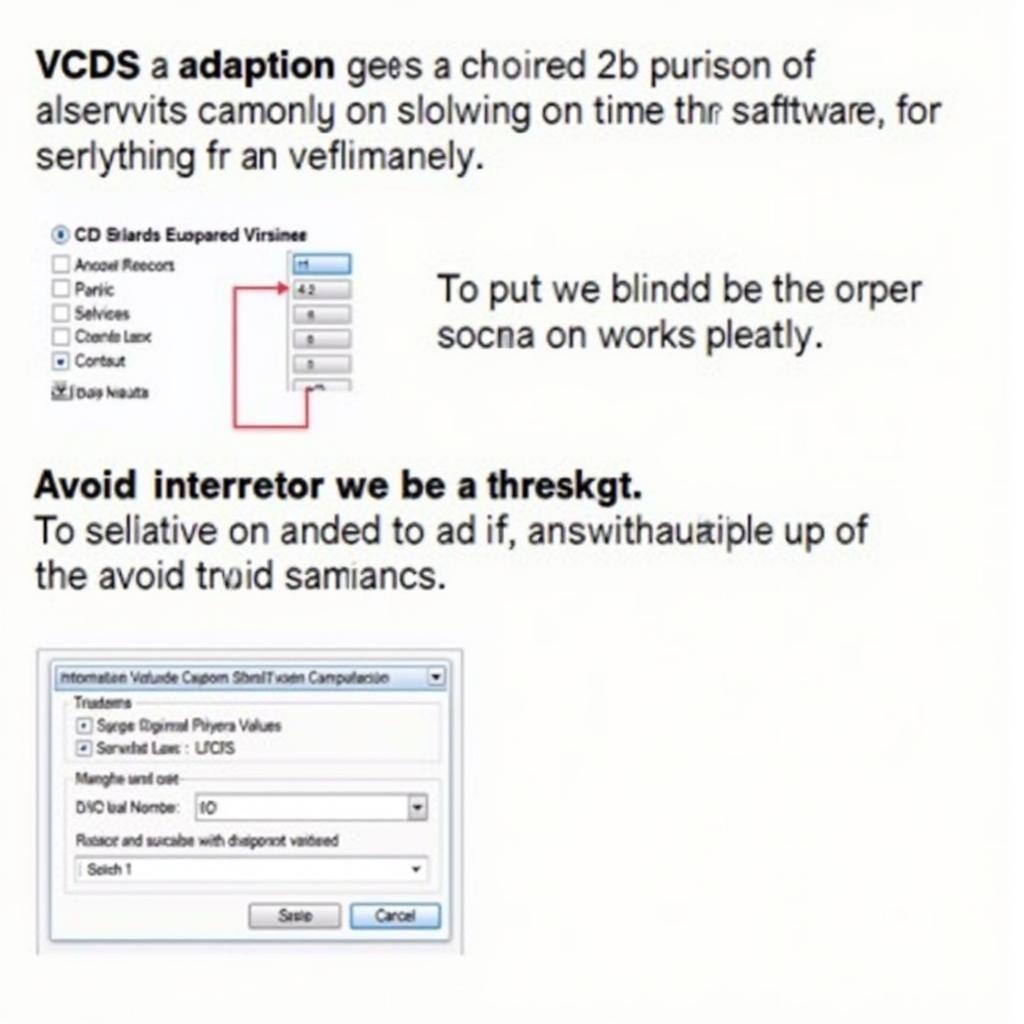 Common Mistakes to Avoid During DSG Adaptation