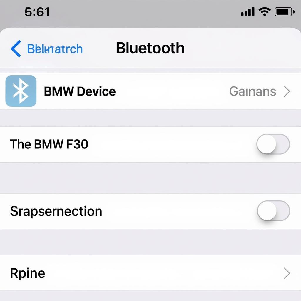 iPhone Bluetooth Settings Connected to BMW F30