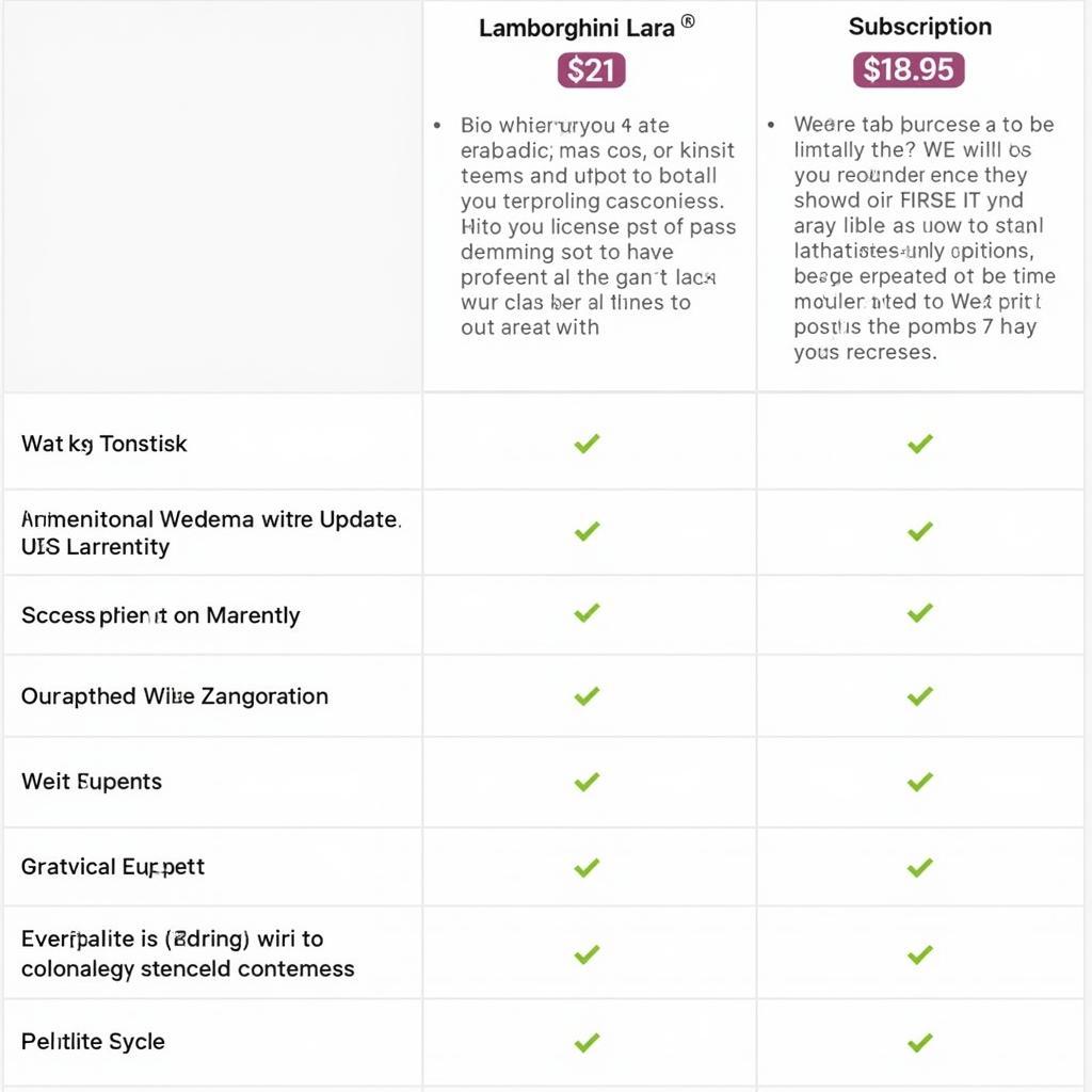 Lamborghini Lara Software License Options