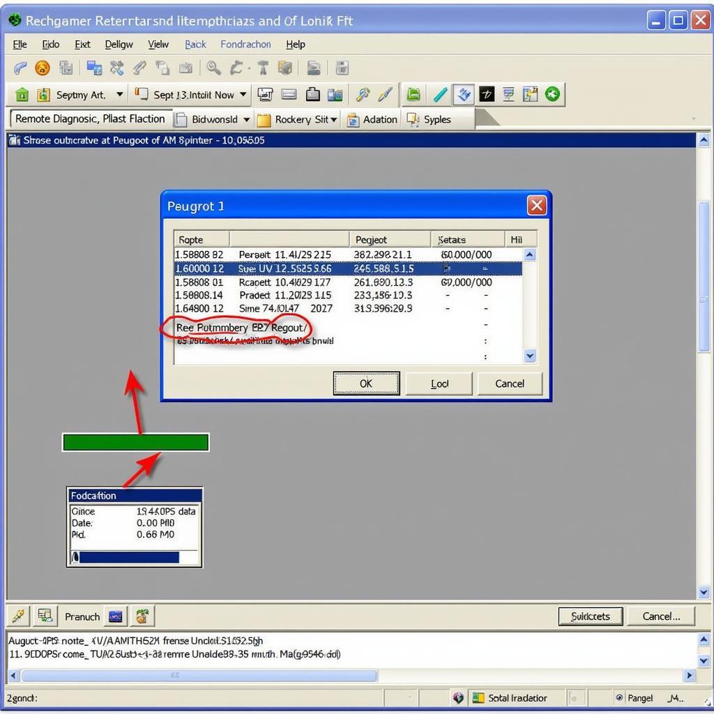 Peugeot 207 Remote Diagnostics Software Interface