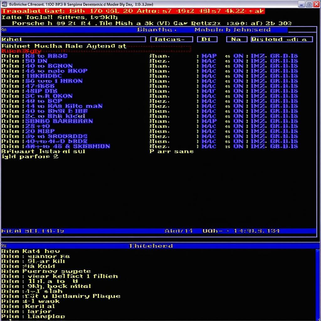 Porsche 928 S4 Diagnostic Software Interface