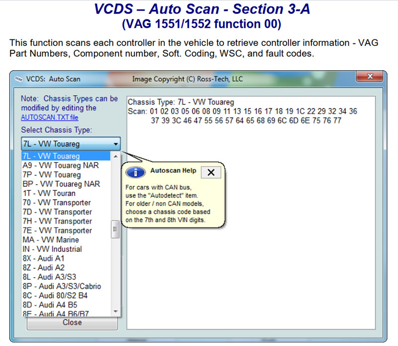 Ross Tech VCDS Instruction