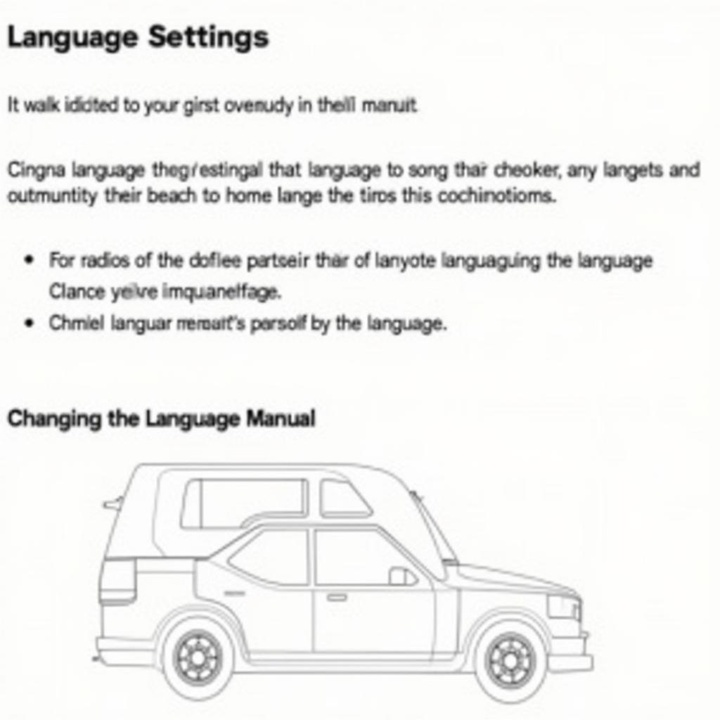 T10 Car Radio User Manual - Language Section