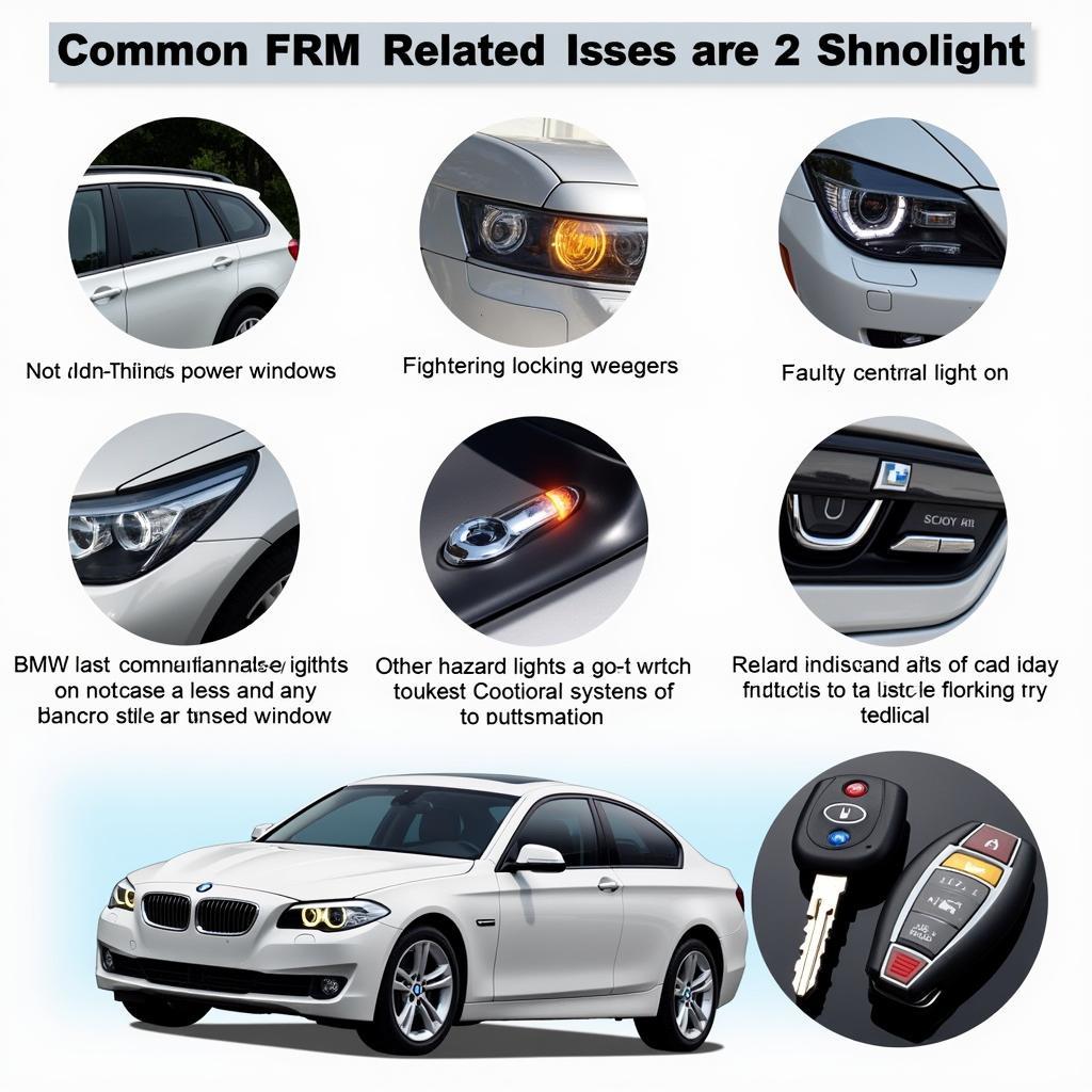 Common BMW FRM Malfunctions