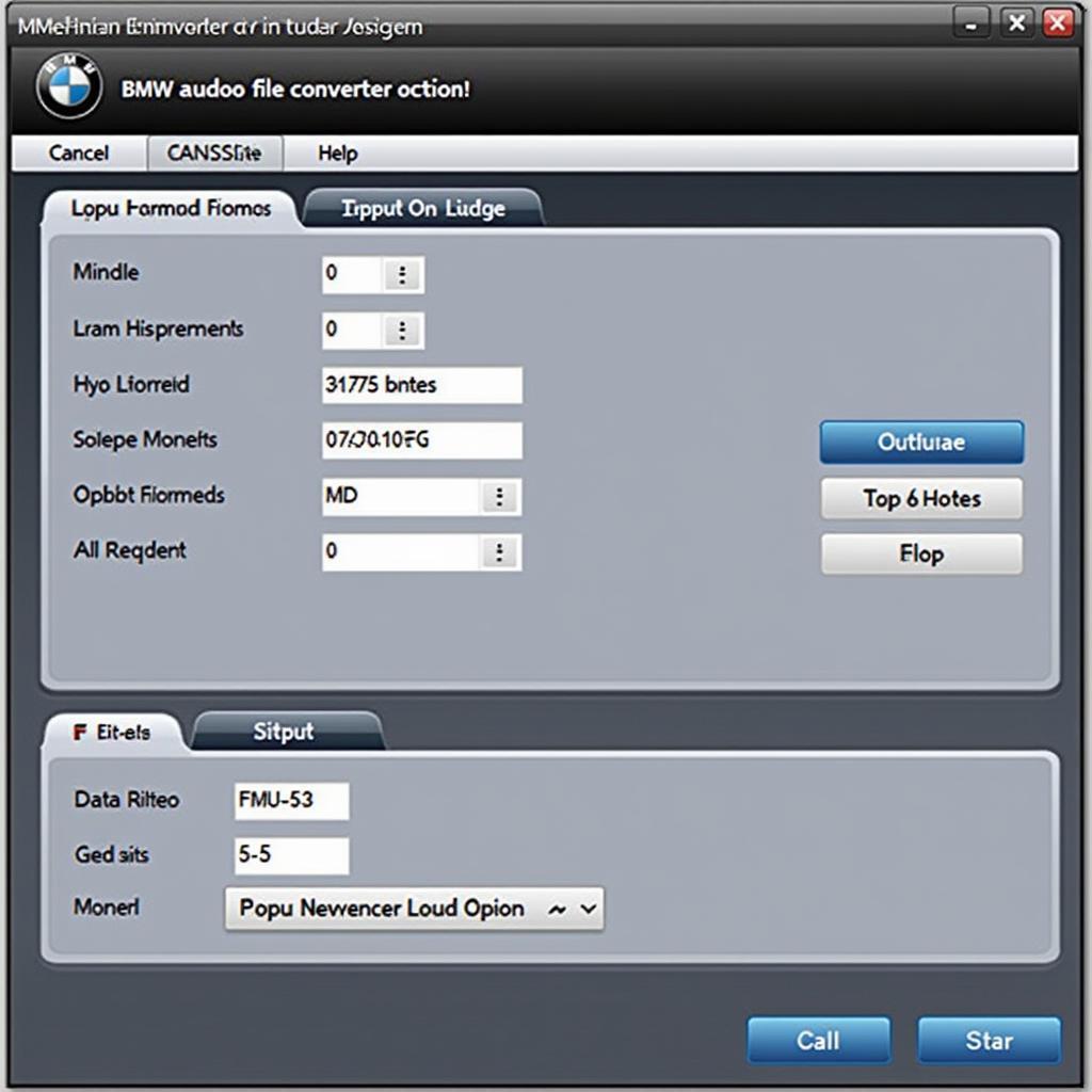 Using BMW Audio File Converter Software