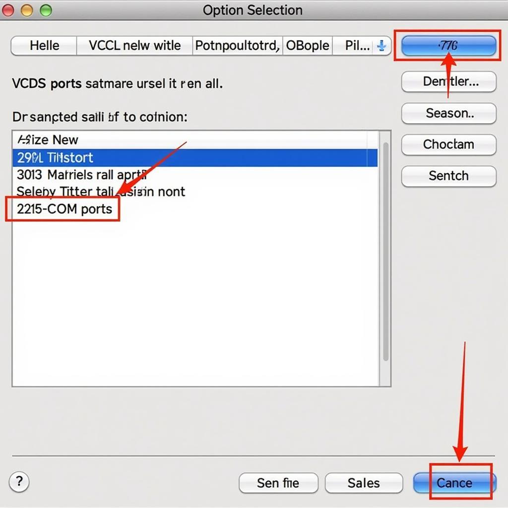 VCDS Software Options and Port Selection