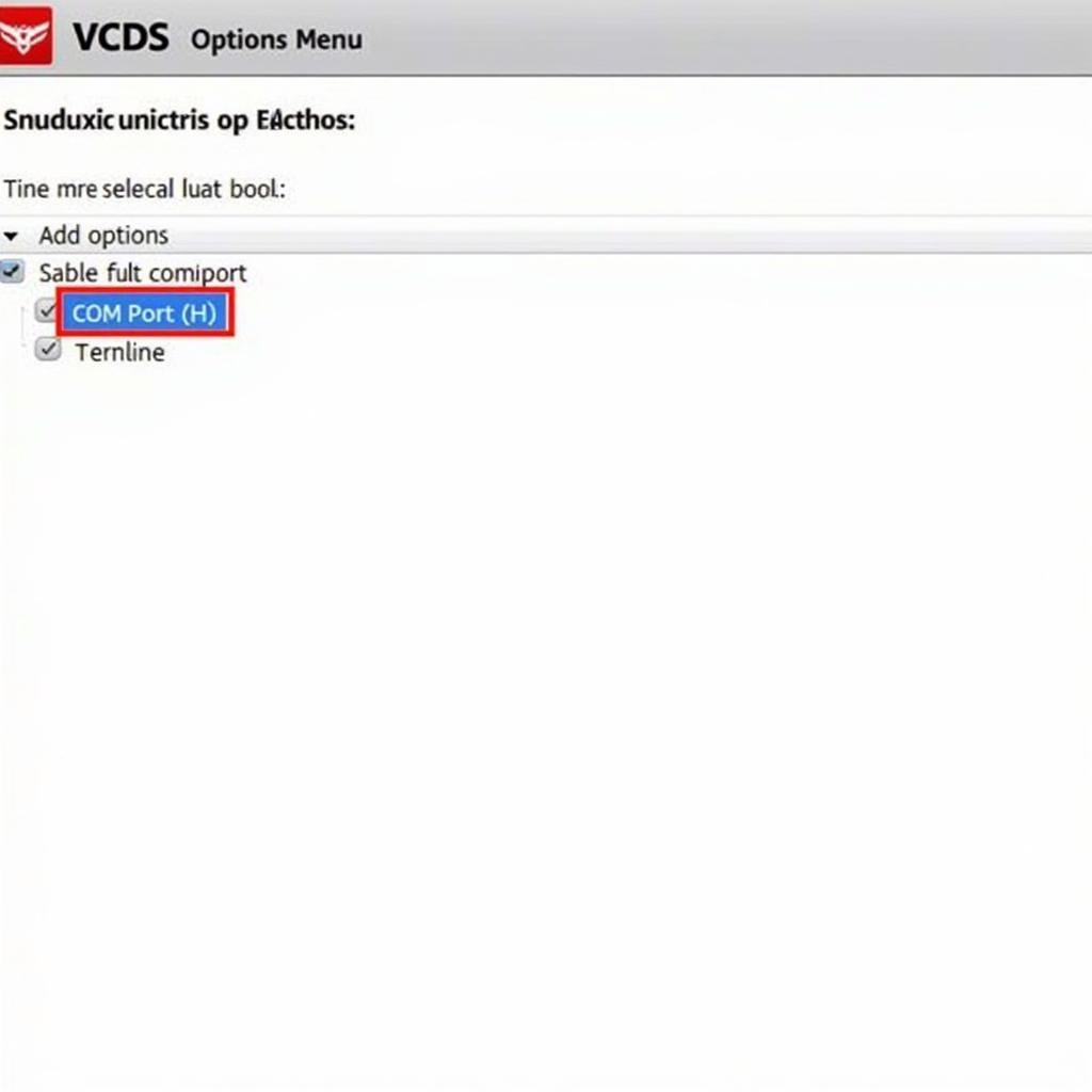 VCDS Software Options and Port Selection