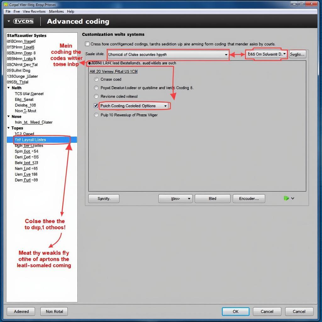 Advanced Coding Options within the VCDS Software for a VW Passat