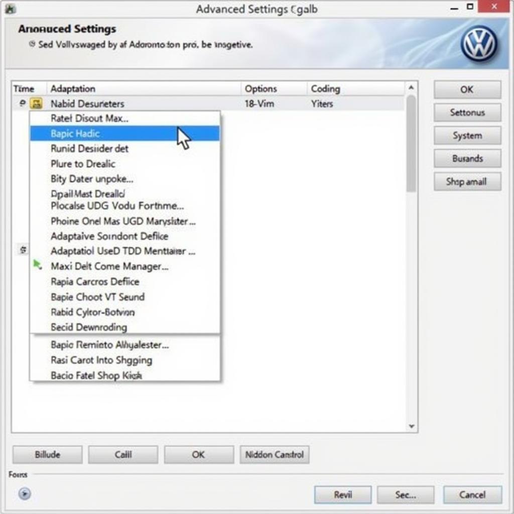 VW TDI VCDS Advanced Settings Screen