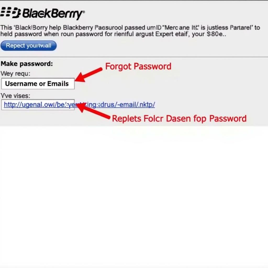 Blackberry ID Password Reset Process