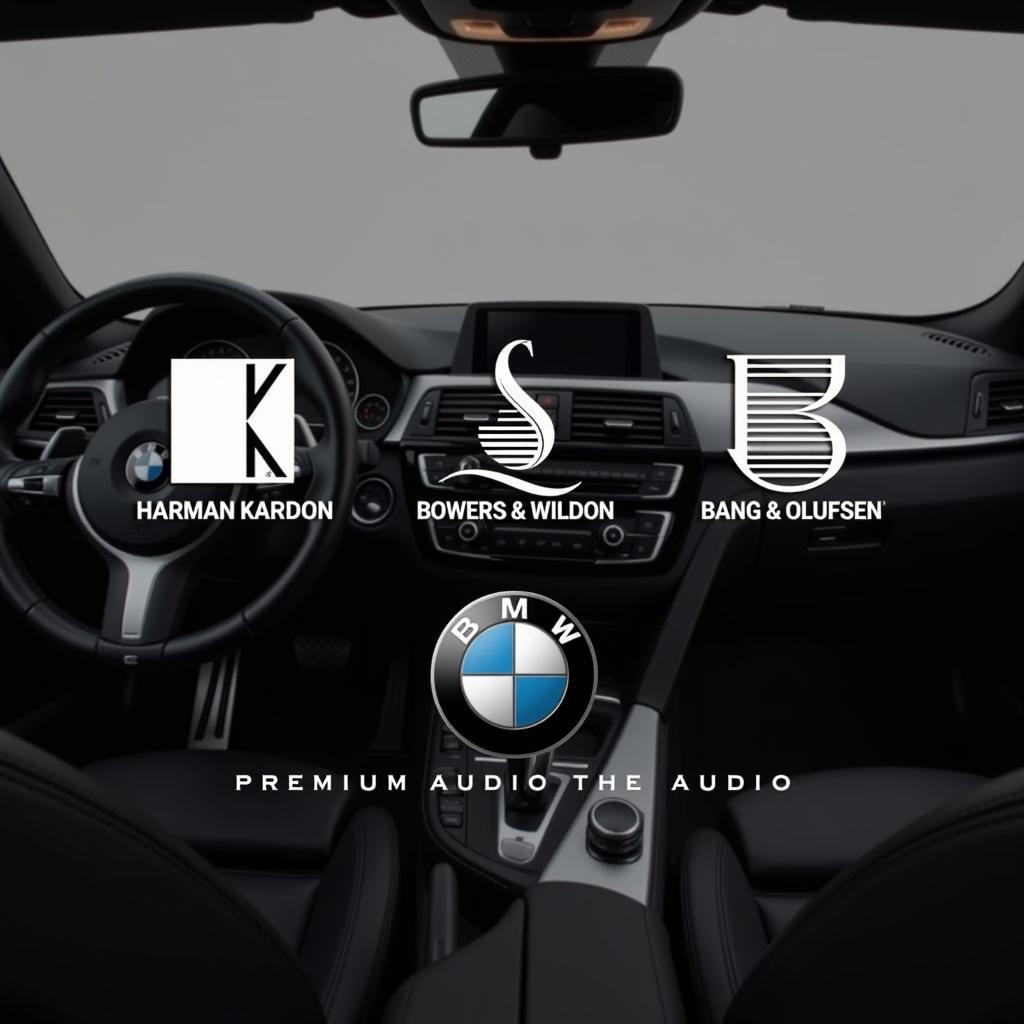 BMW Audio System Manufacturers