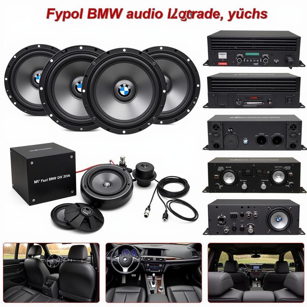 BMW Audio Upgrade Options