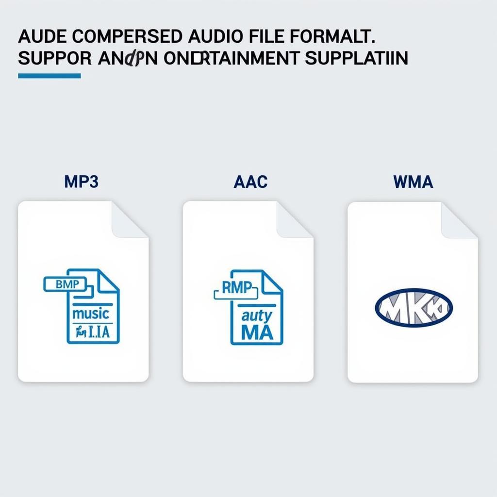 BMW Compressed Audio File Formats: MP3, AAC, WMA