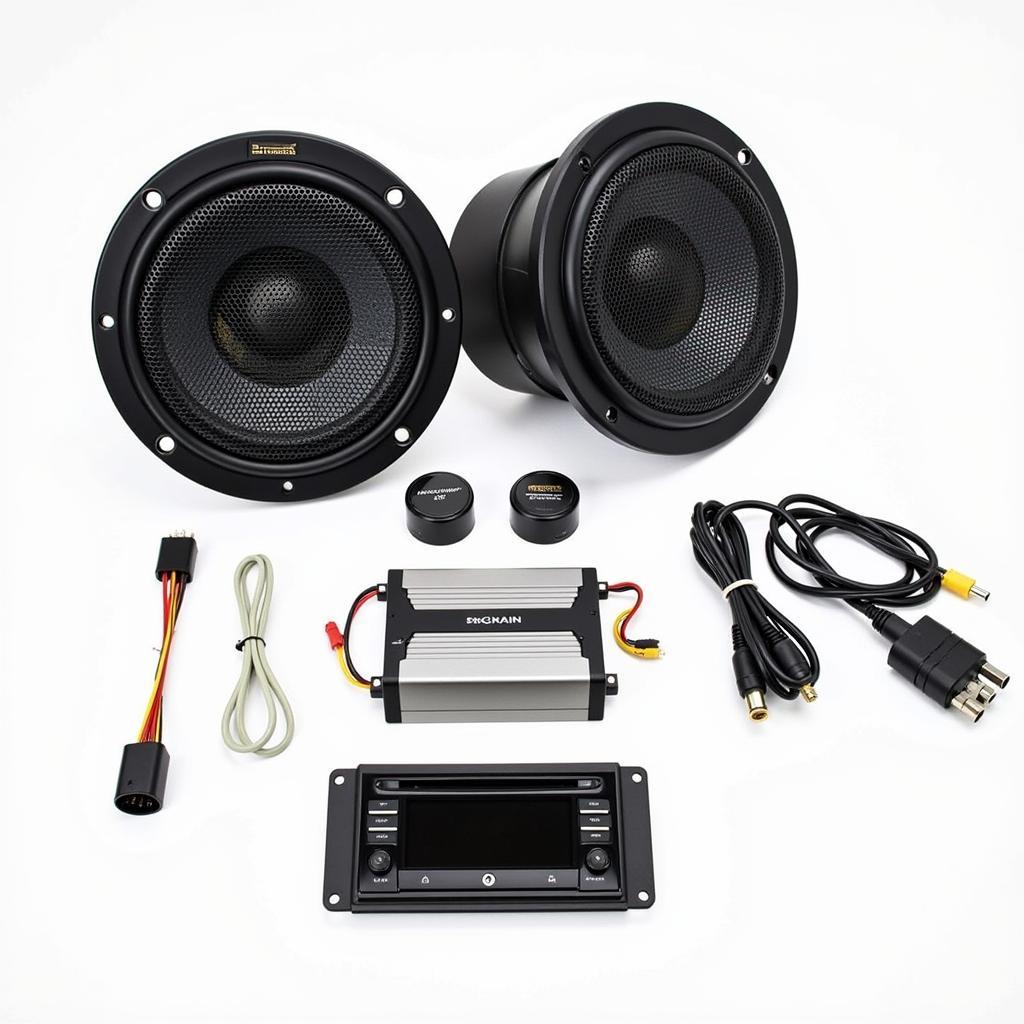 BMW F22 Base Audio System Components