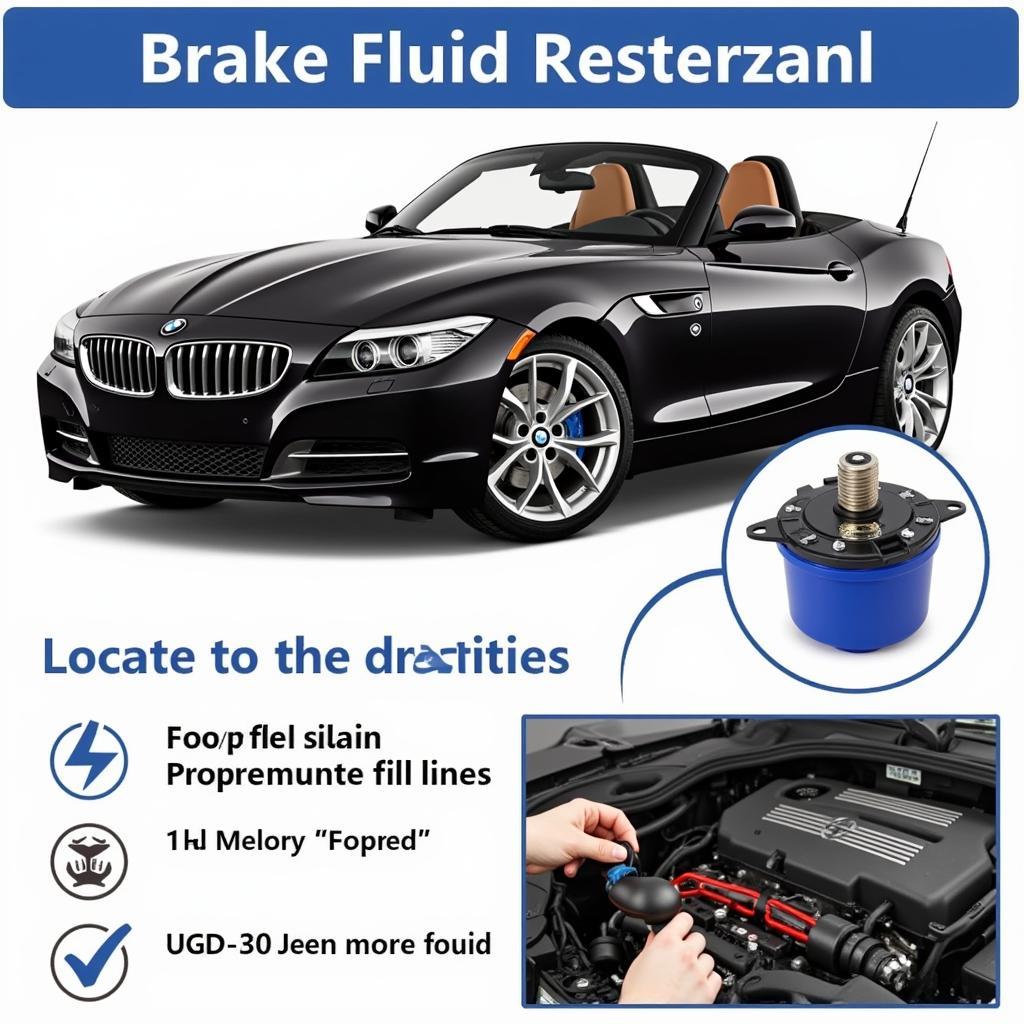 Checking BMW Z4 Brake Fluid Level