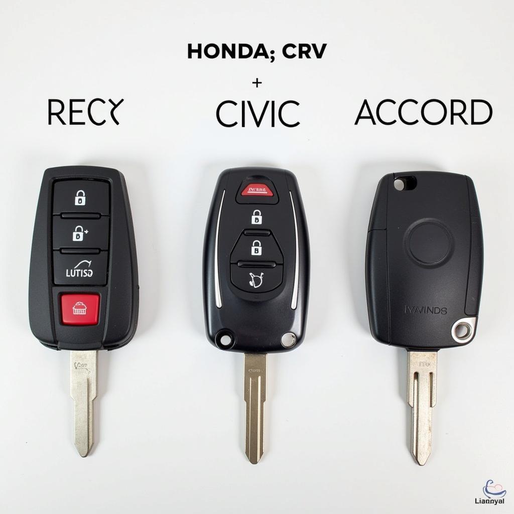 Honda CRV, Civic, and Accord Key Fob Comparison