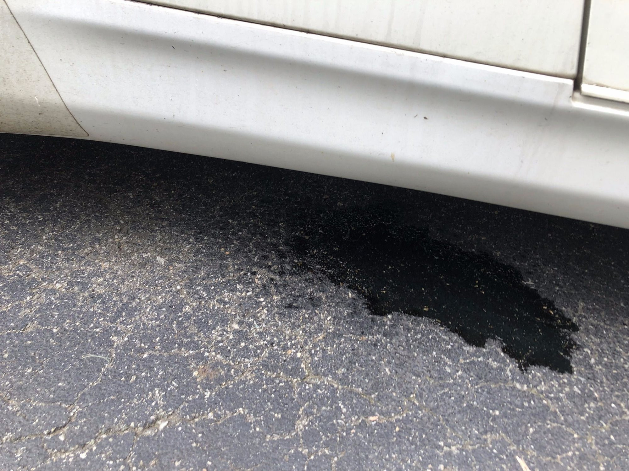 Fuel leaking when car is not moving.