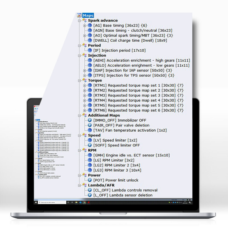 Dimsport Race Evo ECU remapping software interface