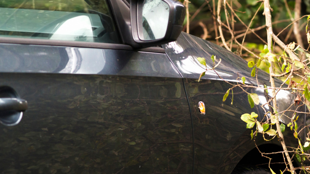 Car paint scratched by tree branches