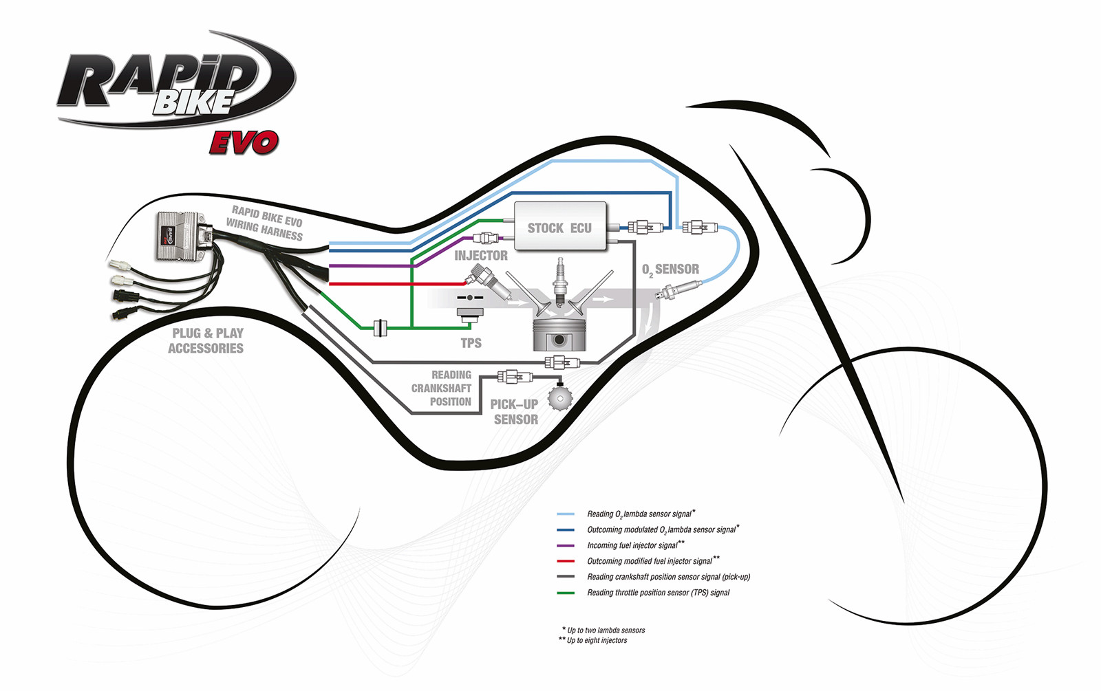 Rapid Bike EVO Exclusive kit for specific motorcycle models